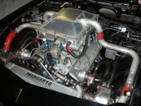DSCN1083.jpg
