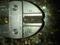 IMG-20101112-00011.jpg
