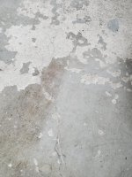 20210213_132417.jpg