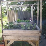 0509211640.jpg