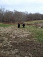20161127_134847.jpg
