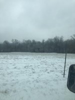 IMG_4233.jpg