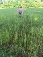 IMG_0169.JPG
