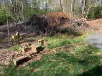 4.2019 Burn Pile.jpg