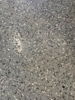 IMG_1638.jpg