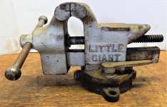 Little Giant (8).jpg