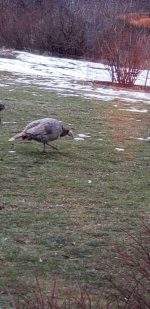 20210106_152933.jpg 20210106_152933.jpg