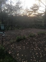 IMG-7671.jpg