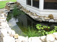 pond 001.jpg