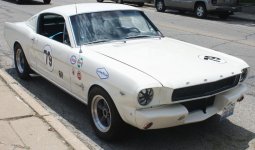 Mustang2.jpg