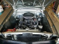 Mustang 6.jpg
