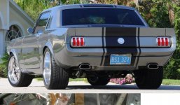 Mustang 10.jpg