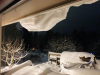 Feb 13, 2021 snowed last night 11.jpg