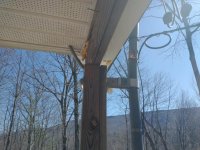IMG_20210320_111313581.jpg