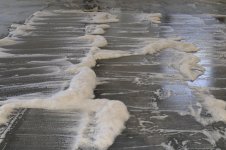 Foamy.jpg