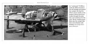 Undressed P-39.jpg