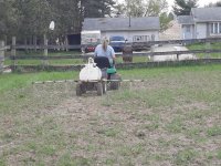 spraying 1.jpg