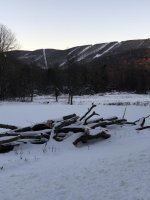IMG_3911.jpg