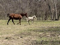 IMG_2125.jpg