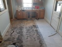 20210224_113636.jpeg