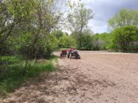 planting 1.jpg