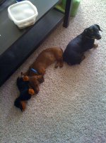 photo (13).jpg