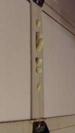 126_0268.jpg 126_0268.jpg