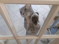 20210225_163423.jpeg