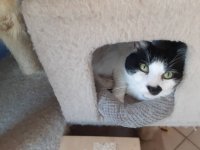 20210225_163452.jpeg