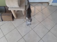 20210225_163502.jpeg