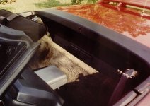 Interior in 1991 2.jpg