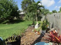 Fence 53 2021.jpg