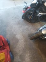 IMG_20210509_200339031.jpg