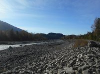 Nisqually River Levee 102819 08.jpg