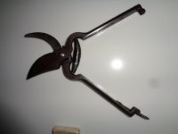 DSC06424.jpg