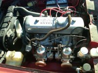 IMG00078-20101228-1408.jpg