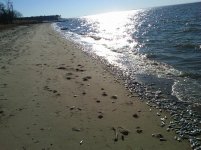 IMG00083-20110103-1435.jpg