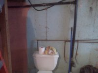 IMG00136.jpg