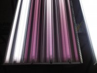 pric_auto_dim_bulbs.jpg