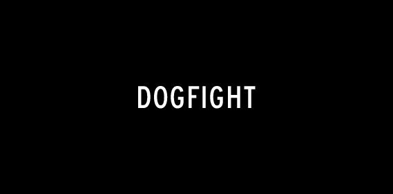 dogfight.jpg